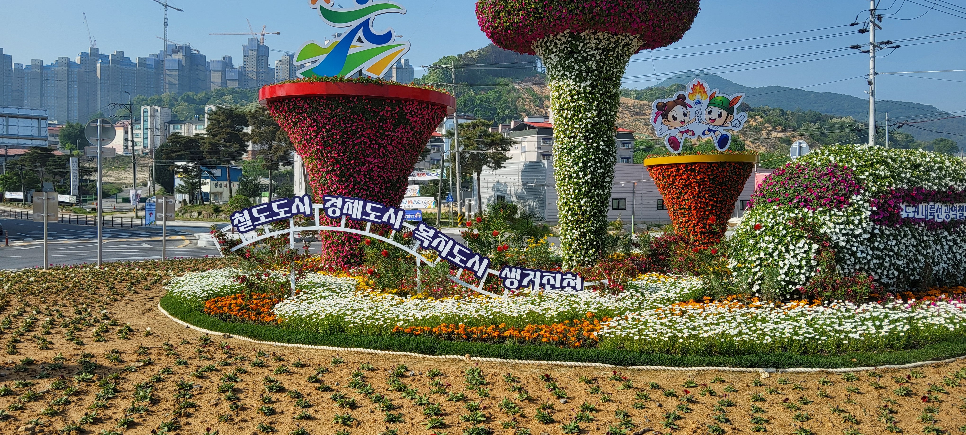 제 63회 충북 도민 체육 대회-홍보 사진(진천군) -cboard
