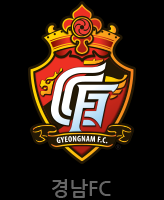 프리뷰, 경남FC vs 김포FC K리그2 12라운드 2024 -cboard