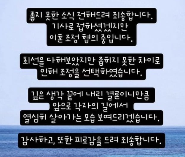 ‘서유리 최병길 PD 이혼’ 파경 맞이하며 직접 남긴 남편 저격 작심 발언 -cboard